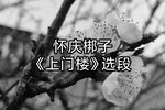 上门楼 选段-九尽春回杏花开
