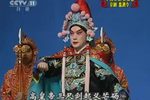监酒令