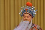 杨家将下载