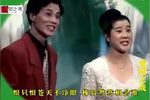 小寡妇劝坟