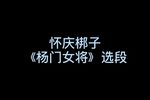 杨门女将 选段