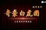 奇袭白虎团 1972年