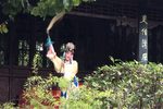 孽海记·思凡 园林小型现场版