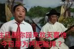 逗骂