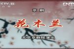花木兰下载