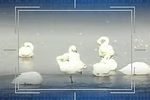 苏三起解