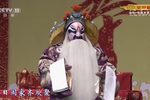打金枝