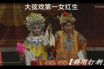 薛刚打朝 大磨腔（大青阳）
