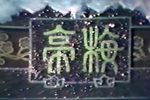 梅亭雪 见故人悲喜交并下载