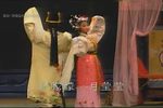 白狐仙 全剧