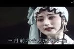 御园辩亲 标清