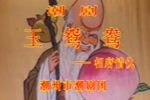 玉鸳鸯 上下集