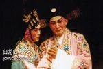 白龙山 全剧