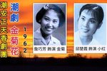 金菊花 1962年