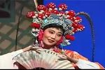 张春郎削发 追殿下载