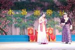 赵少卿 选段