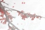 雷峰塔下祭慈帏 后集