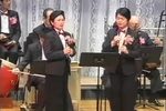 芦林会·枯木逢春再生枝