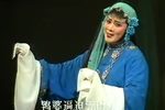 孝妇杀家姑-玉梅命乖苦伶仃 同一首曲