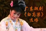 白高粱 选场