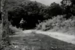 钗头凤 电影版