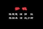 赵少卿·梦魂 选段