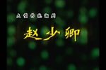 赵少卿 全剧上下集十二场
