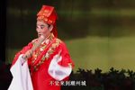 苏六娘·杨子良讨亲 传承版