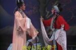 梅亭雪 另版》