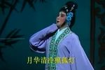 柳明月-还与金锁慰平生