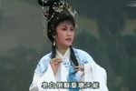 真假红鸾 超清  澄海潮剧院