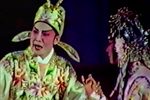 孙安动本 选段下载