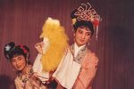 藏书-元宵佳境梦依稀