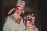 桃李争春 下
