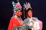 太子闯殿/公主冤案