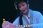 告亲夫 七场潮剧