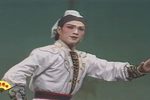 真假杨六婿 第五场