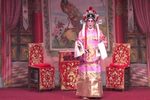 狄青闯三关下载