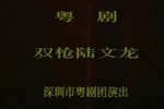 双枪陆文龙