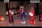 杨门女将·寿堂惊变下载