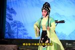 宋王告状 8/11更新完毕下载