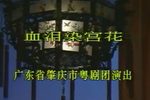 血泪染宫花