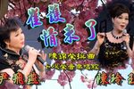 崔护情未了