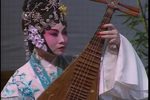 同是天涯沦落人下载