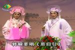 梁祝恨史