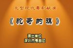 驼哥的旗下载