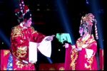 醉打金枝下载