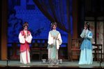 春草闯堂 全剧
