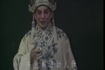 三闖留春苑