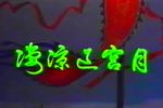凄凉辽宫月下载